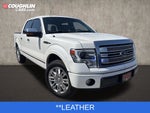 2013 Ford F-150 Platinum