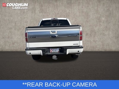 2013 Ford F-150 Platinum